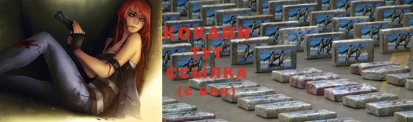 стафф Протвино