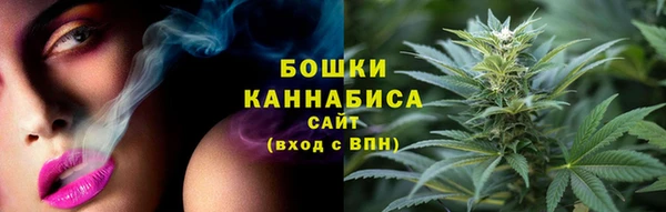 стафф Протвино