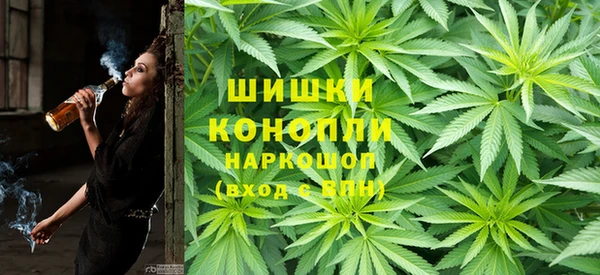 стафф Протвино