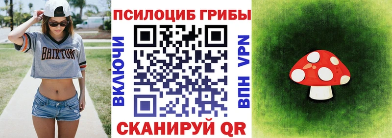 Галлюциногенные грибы Psilocybe  Кинешма 